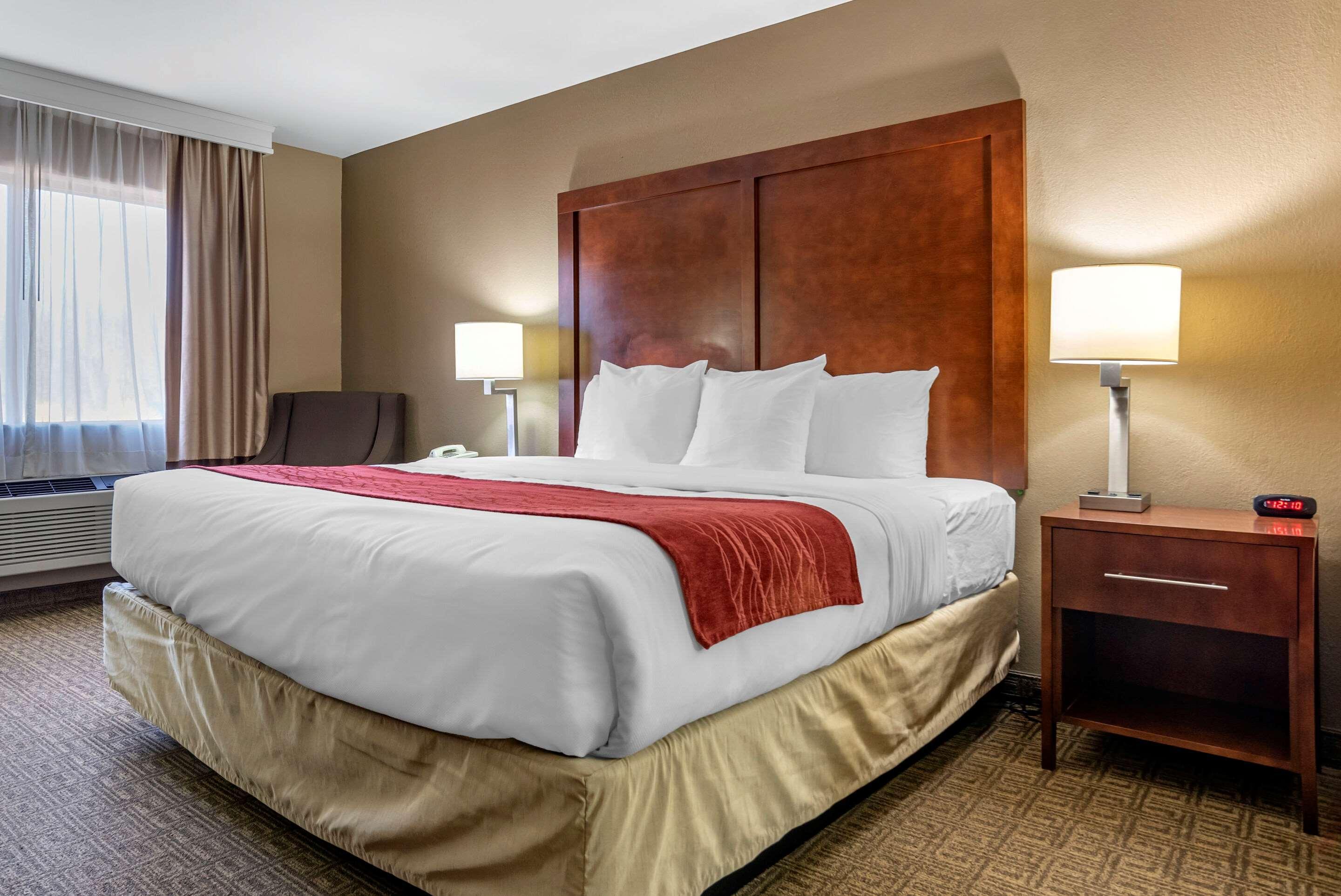 Comfort Inn & Suites Leeds I-20 Kültér fotó
